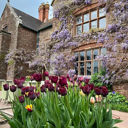 Uplands Guest House-3